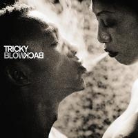 Album cover of Tricky feat. Frusciante &amp; Flea - #1 Da Woman